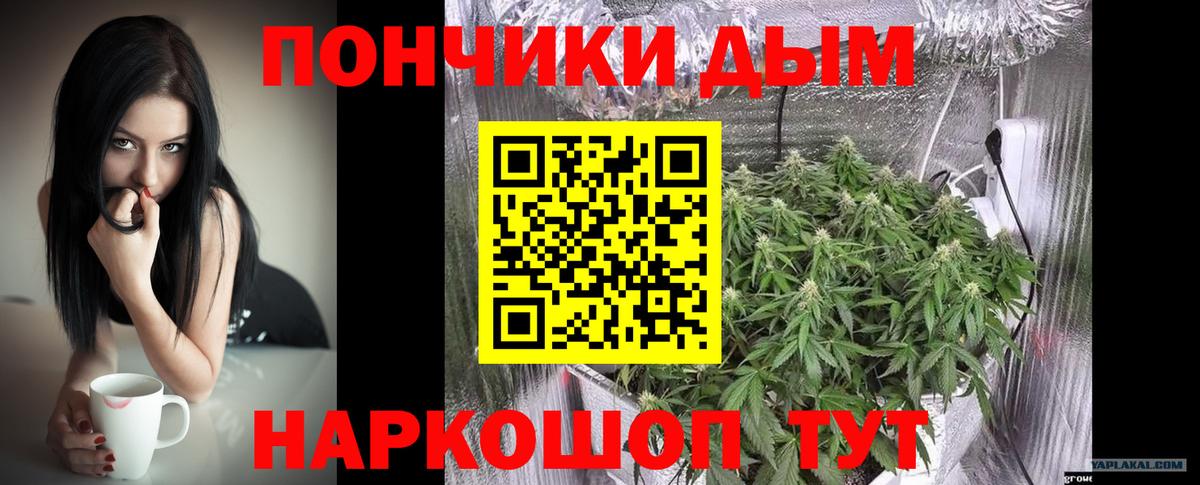 Канабис семена Новомосковск